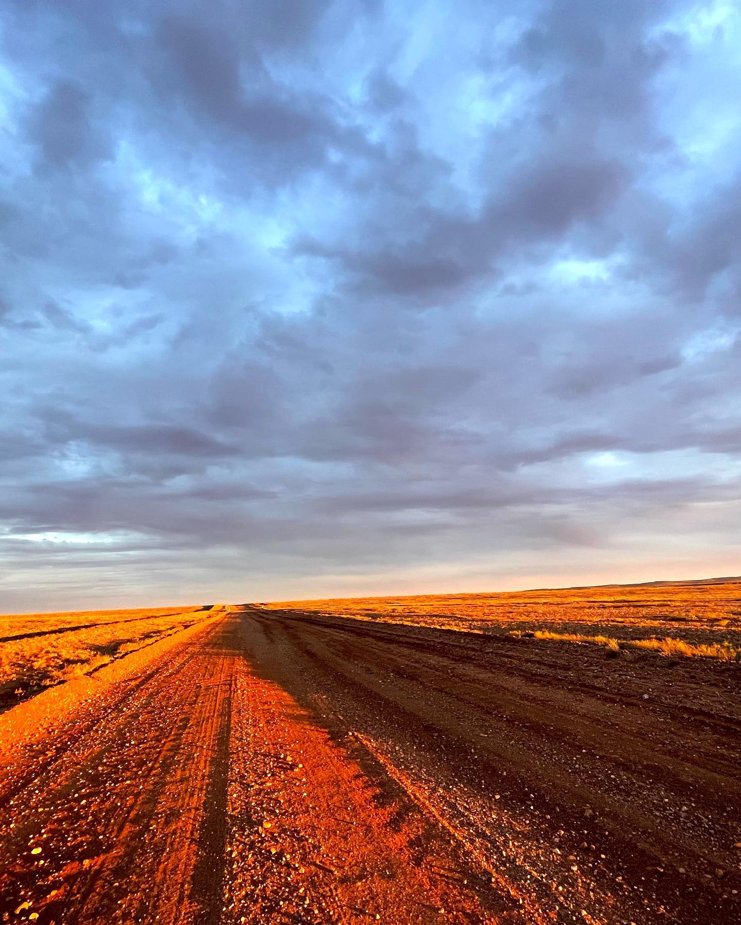 Photograph of the wide open plains of Tipooburra taken by Jasmine Miikika craciun